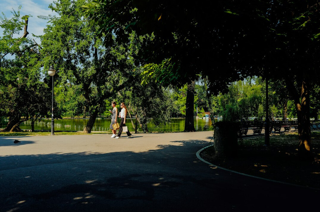 person walking in park